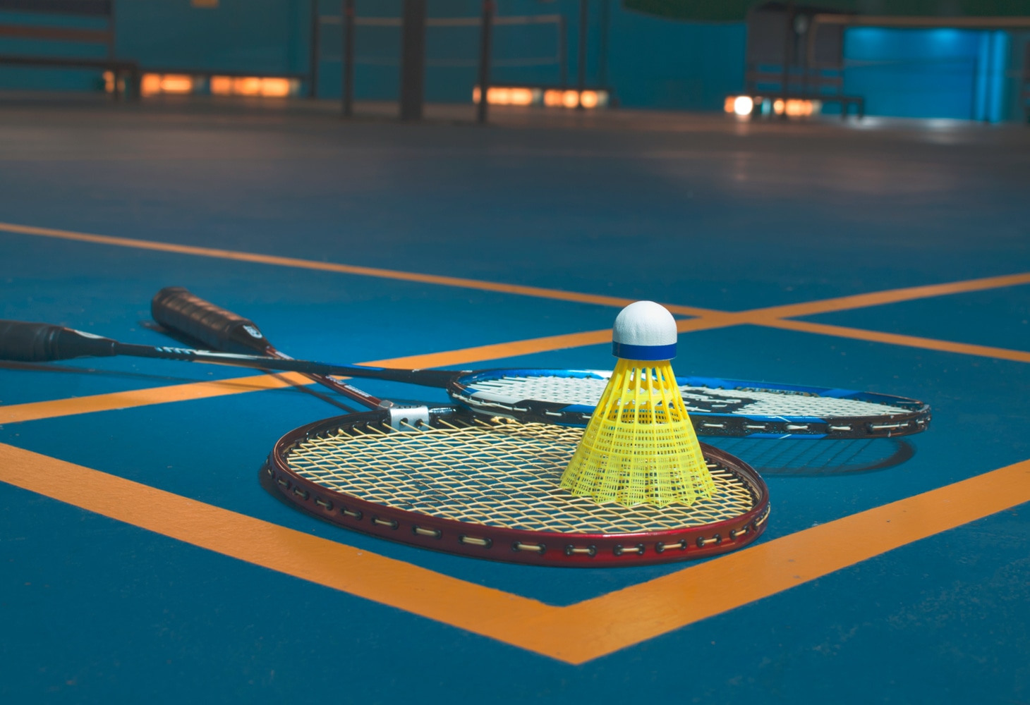 Badminton and Other Indoor Games